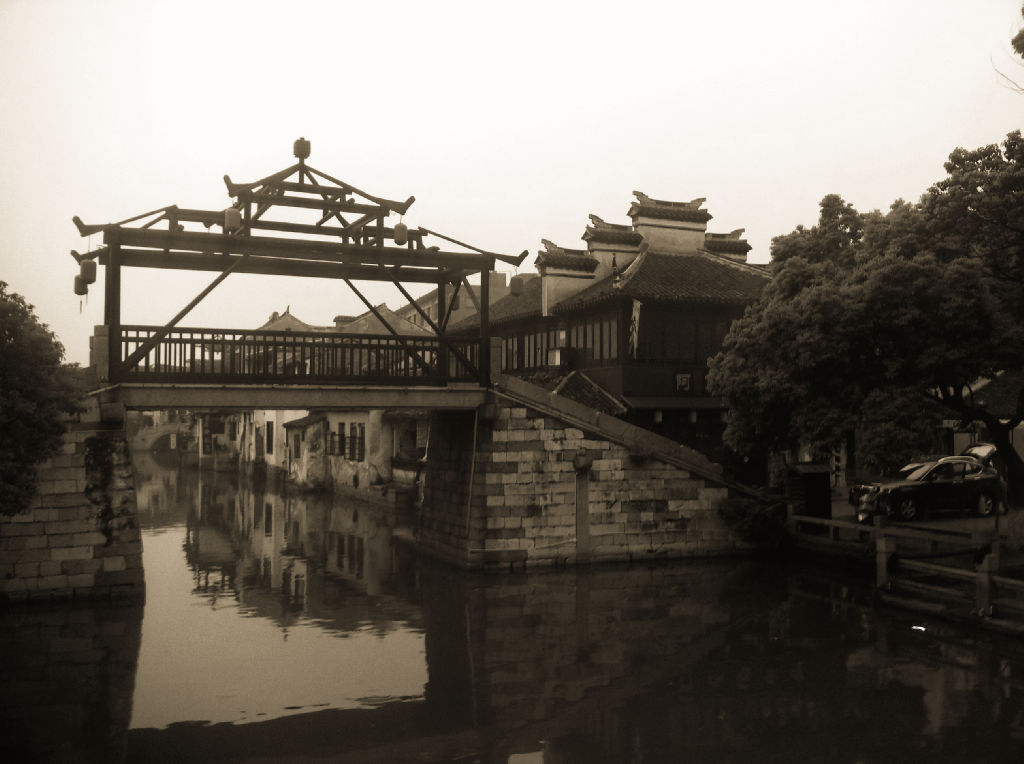 tongli-8