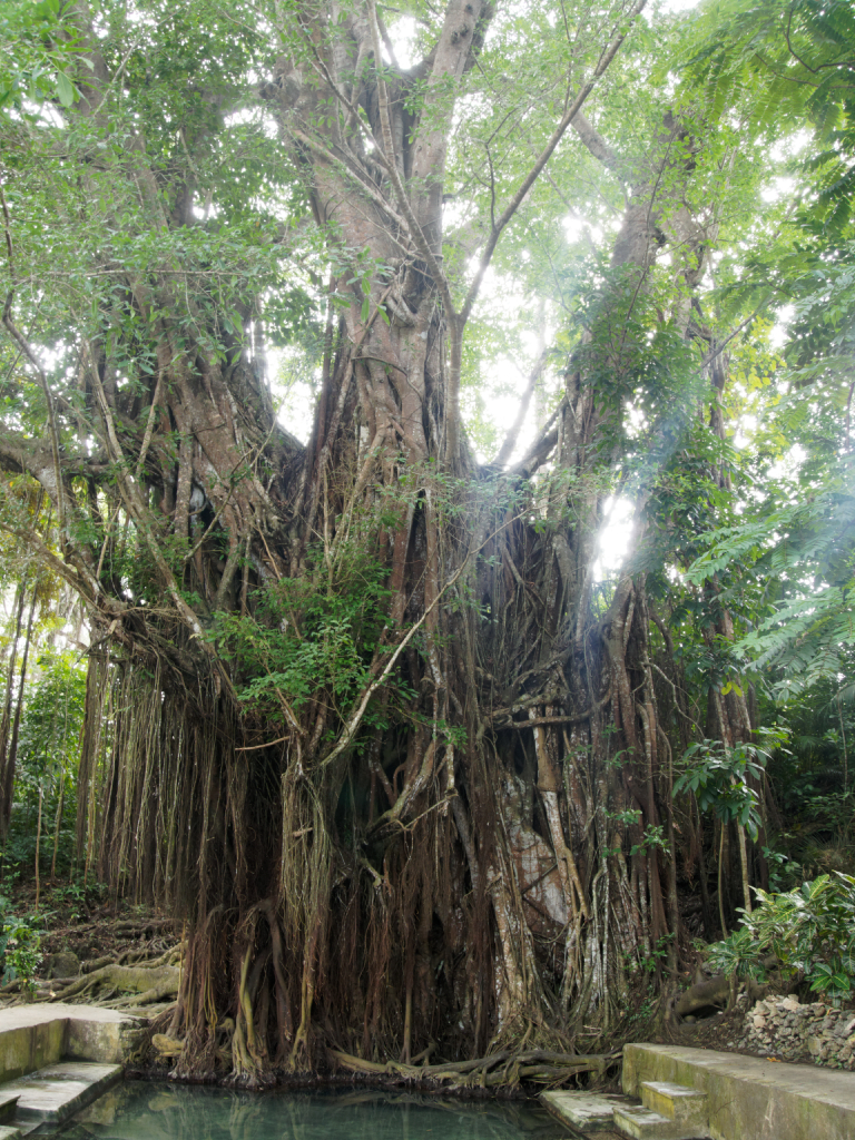 siquijor