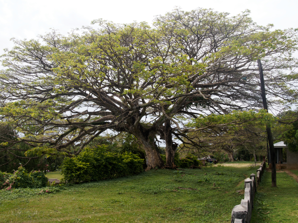 siquijor