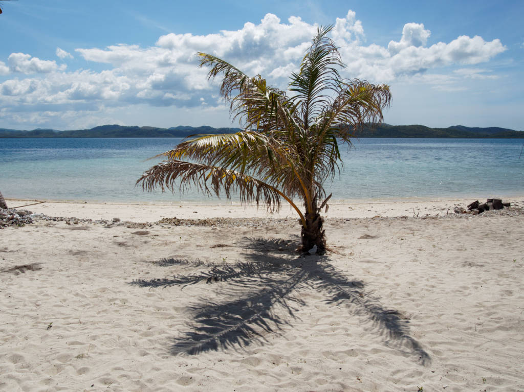 coron-snorkeling