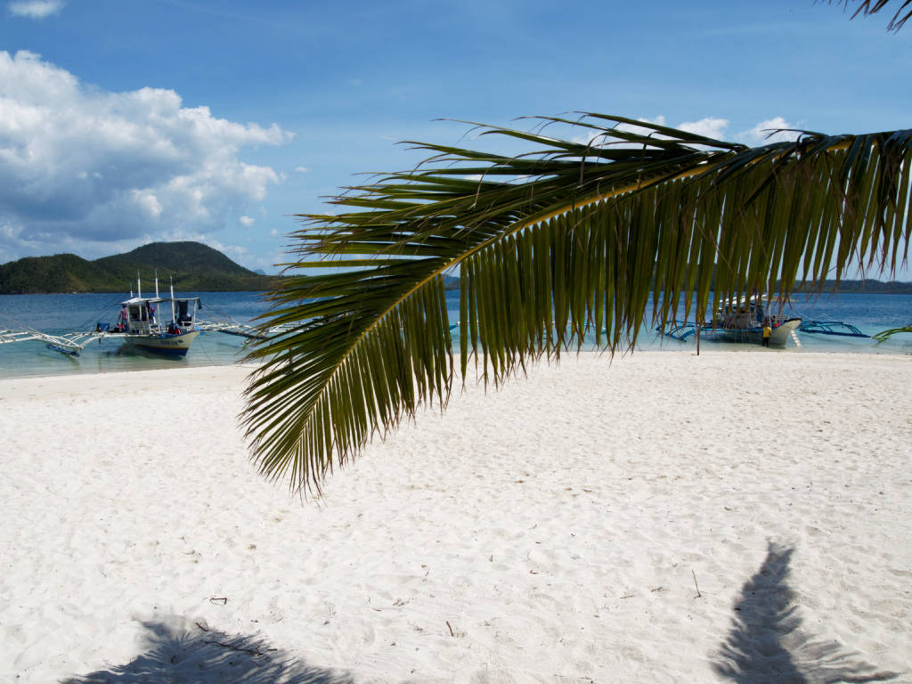 coron-snorkeling