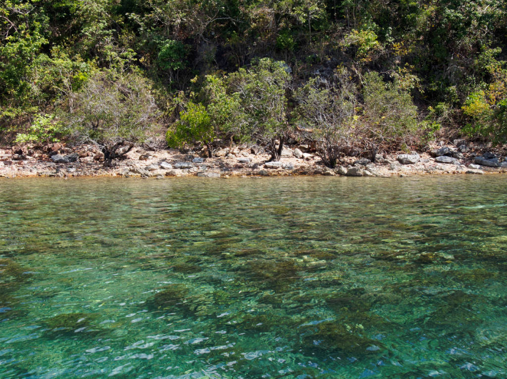 coron-snorkeling