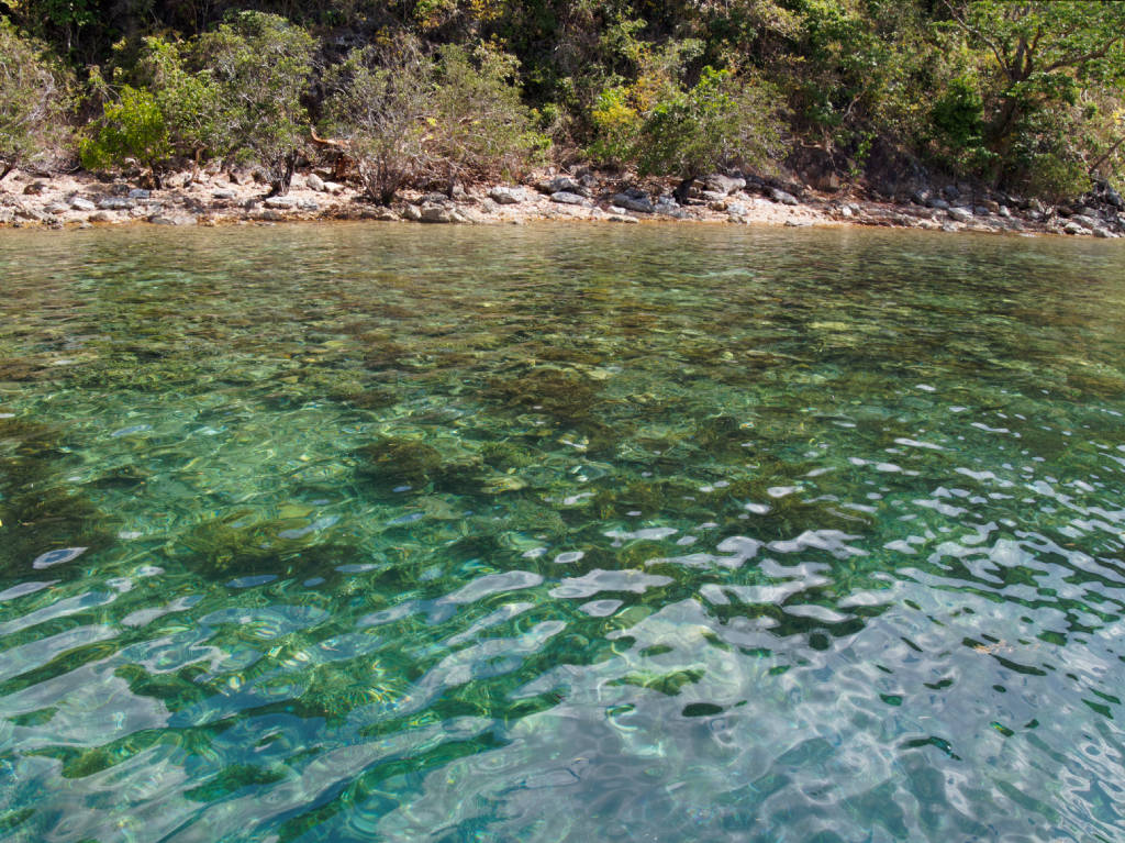 coron-snorkeling