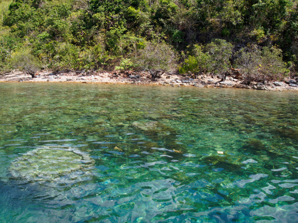 coron-snorkeling