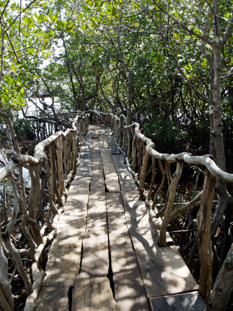 coron-hot-spring