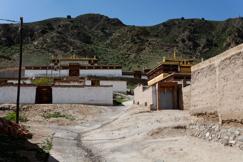  MG 4139-gansu-qinghai