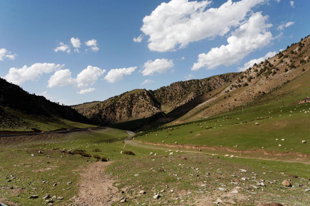  MG 4142-gansu-qinghai