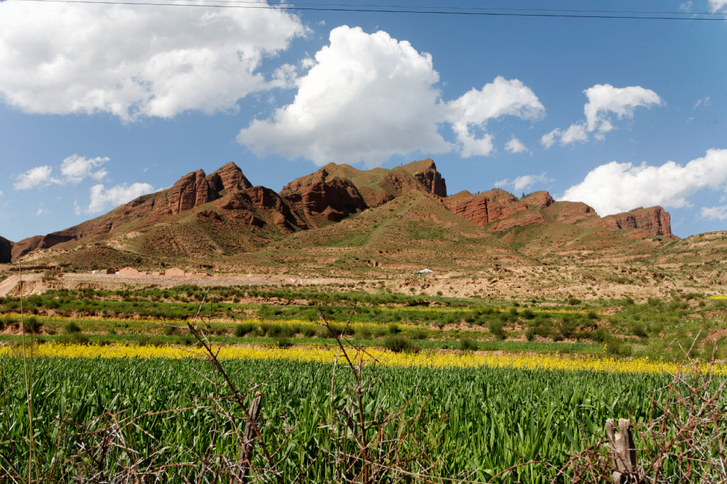  MG 4169-gansu-qinghai