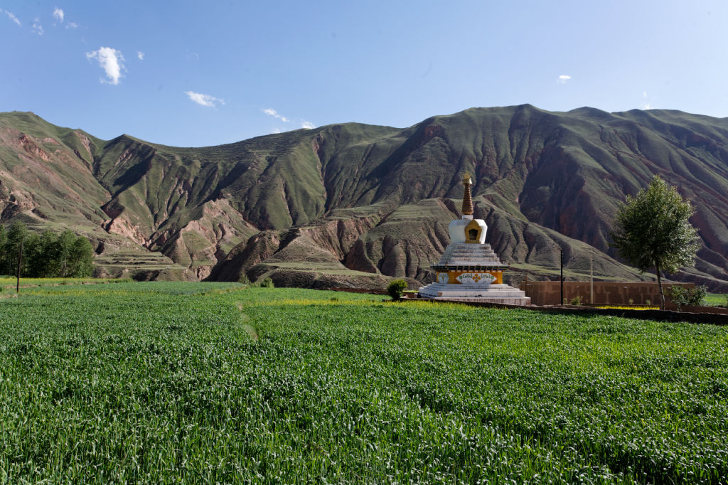  MG 4181-gansu-qinghai