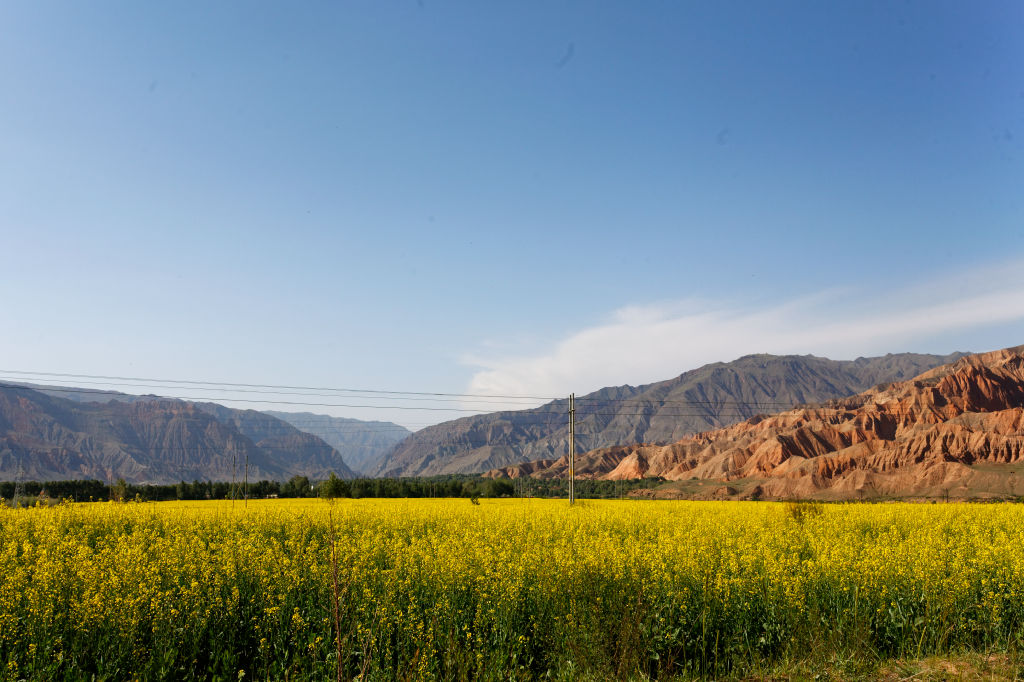  MG 4197-gansu-qinghai