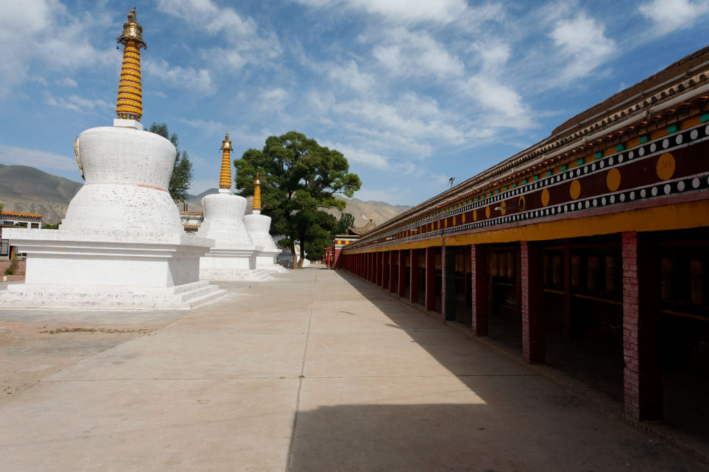  MG 4211-gansu-qinghai