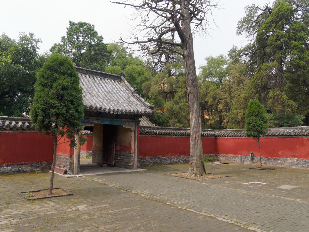 qufu