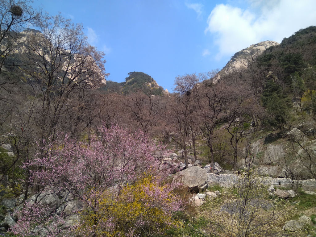 taishan