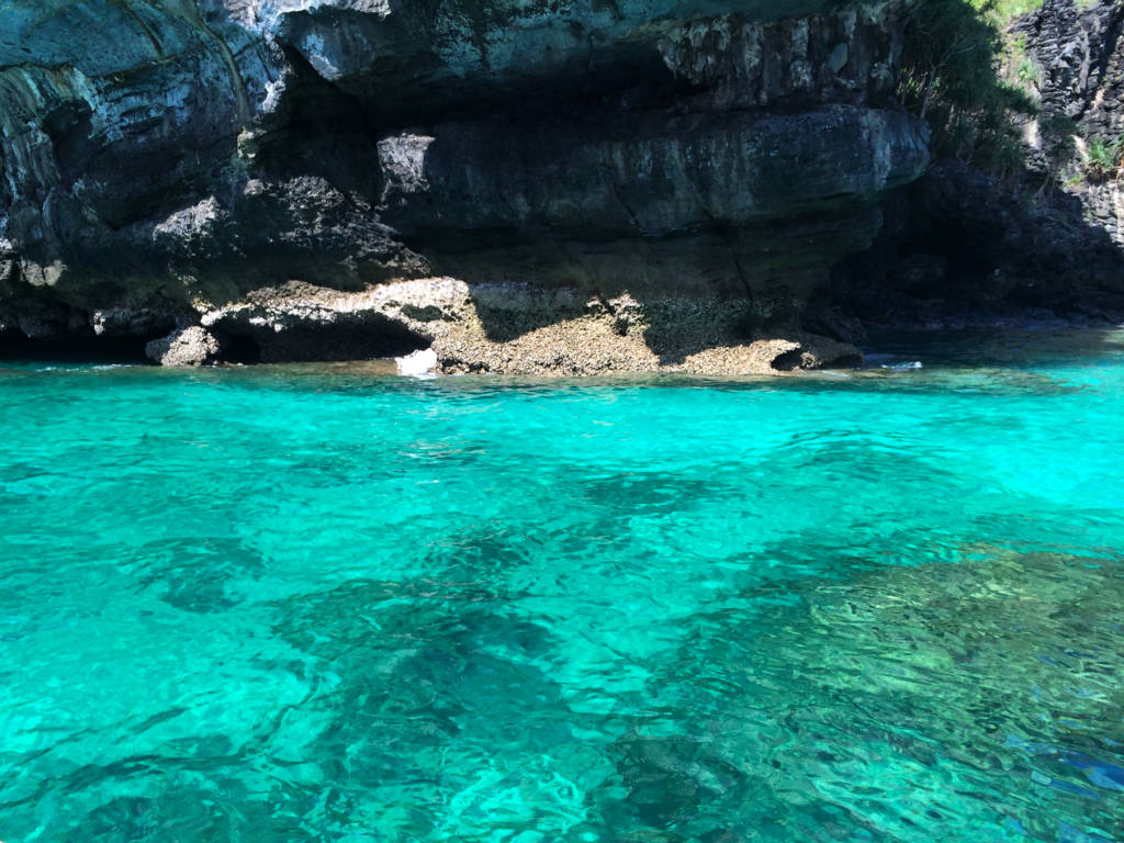 bamboo-island