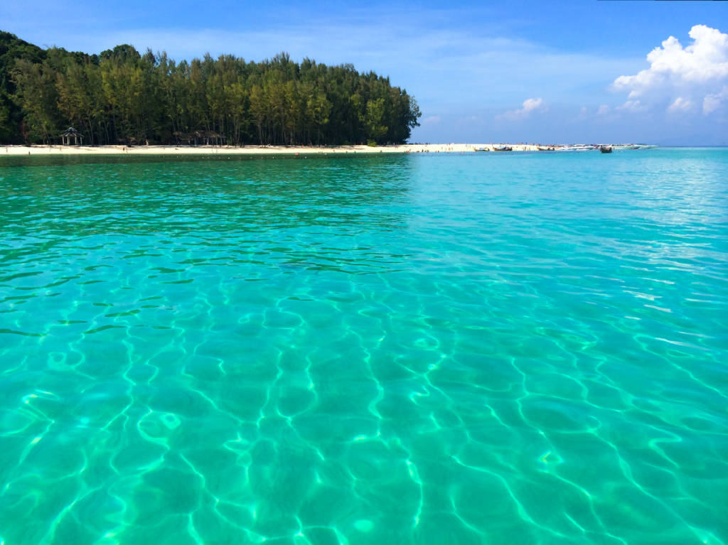 bamboo-island