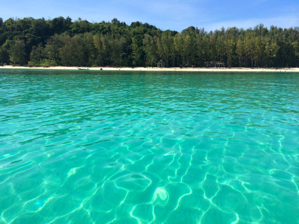 bamboo-island