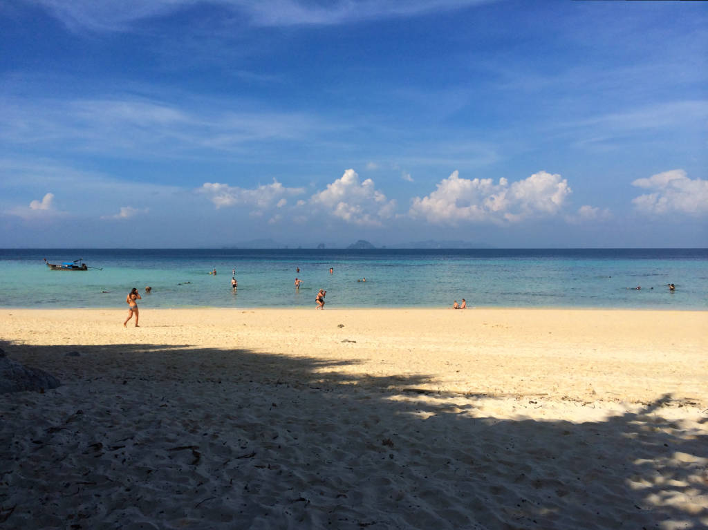 bamboo-island