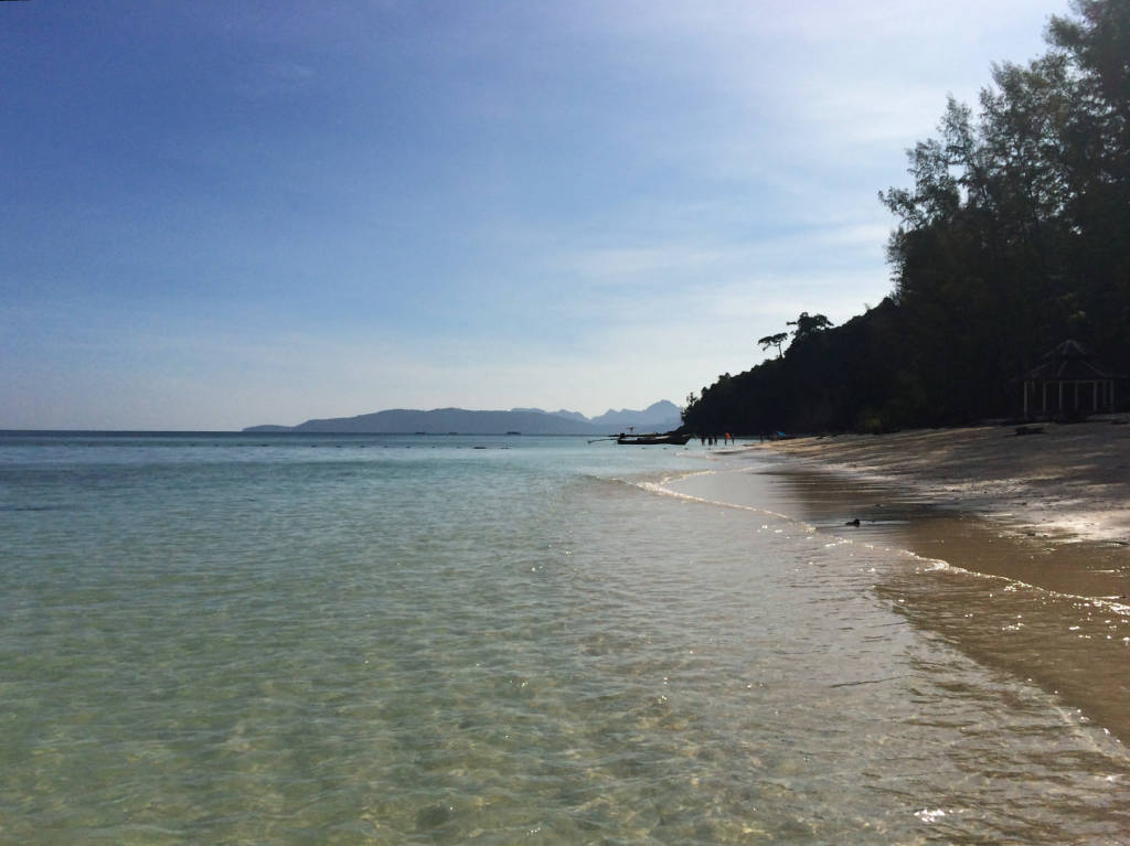 bamboo-island