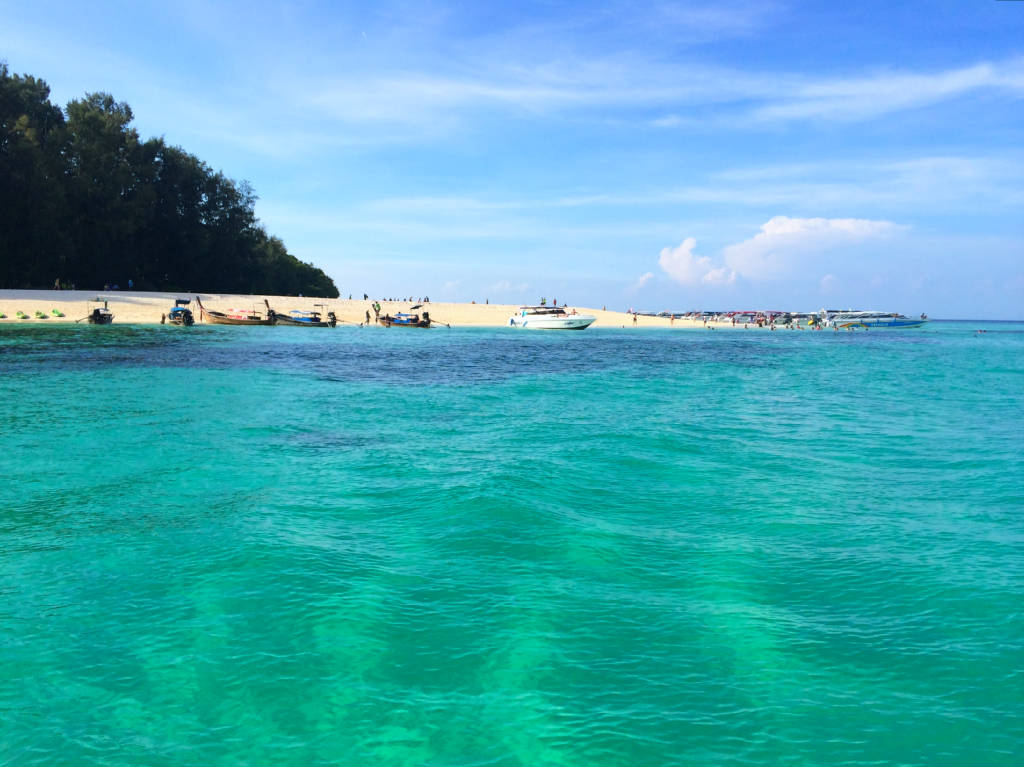 bamboo-island