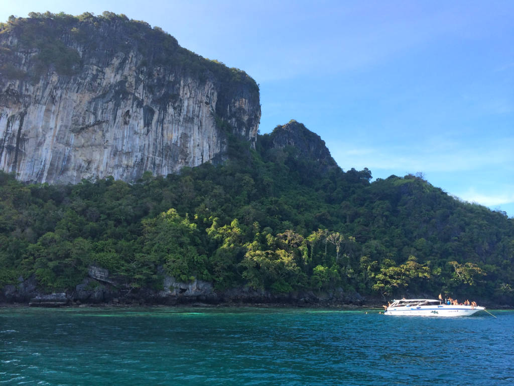 bamboo-island