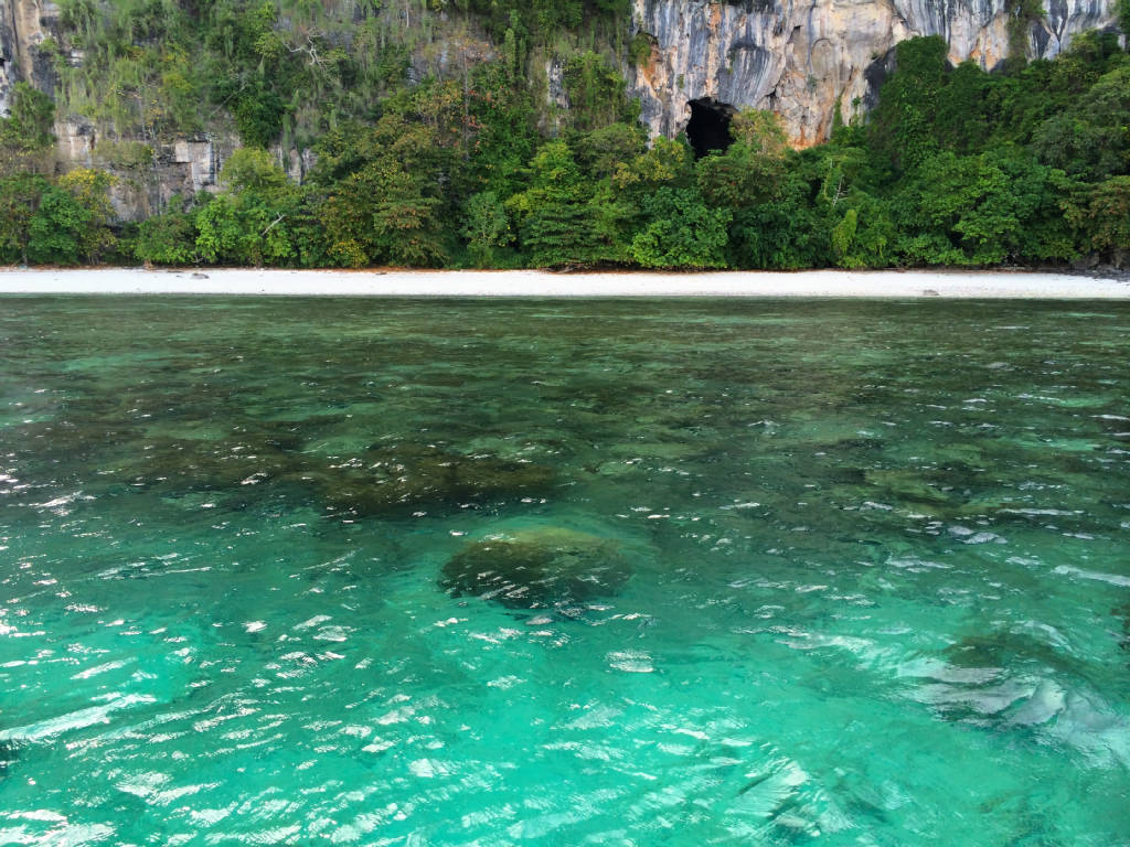 bamboo-island