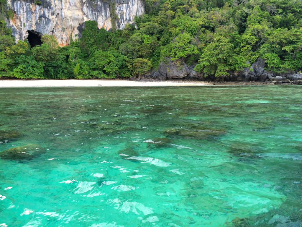 bamboo-island