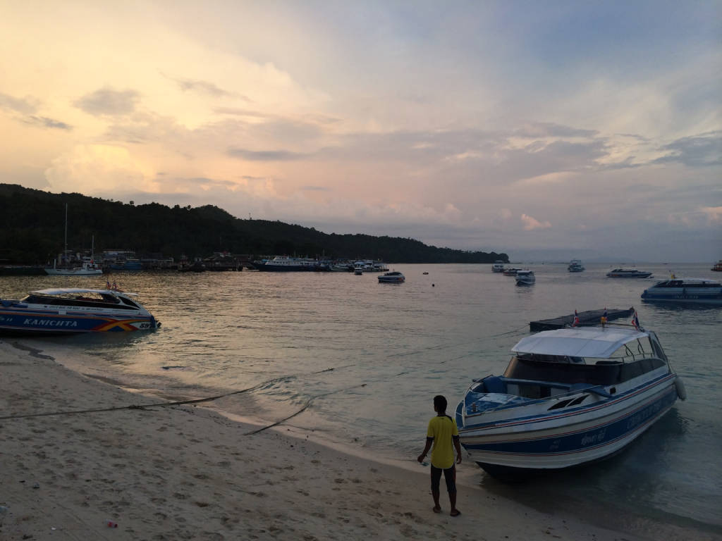 bamboo-island