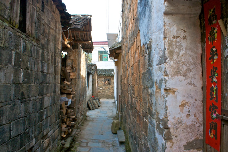 Wuyuan 83