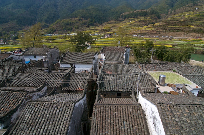 Wuyuan 83