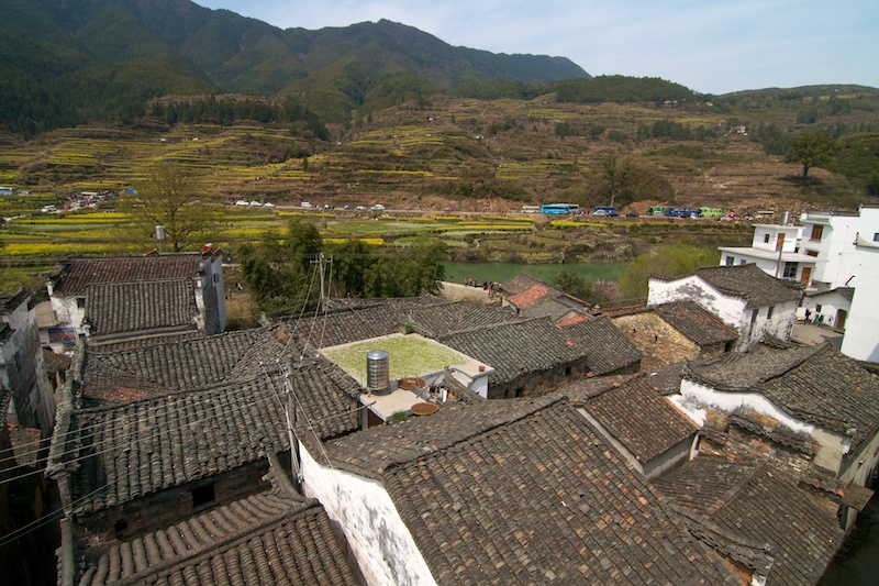 Wuyuan 83