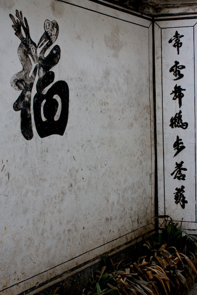 Wuyuan 83