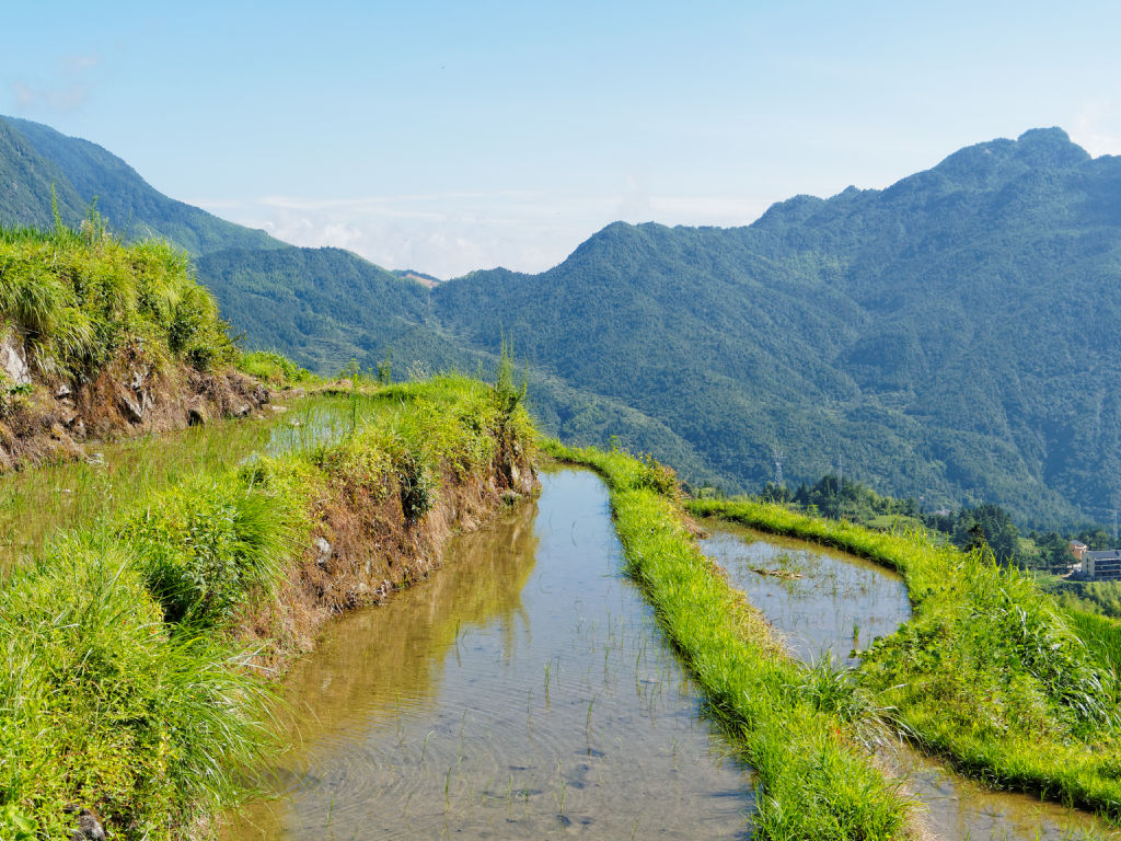 lishui